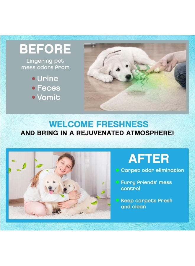 NonScents Carpet Odor Eliminator - Pet and Dog Carpet Deodorizer - Outperforms Baking Soda - Image 3